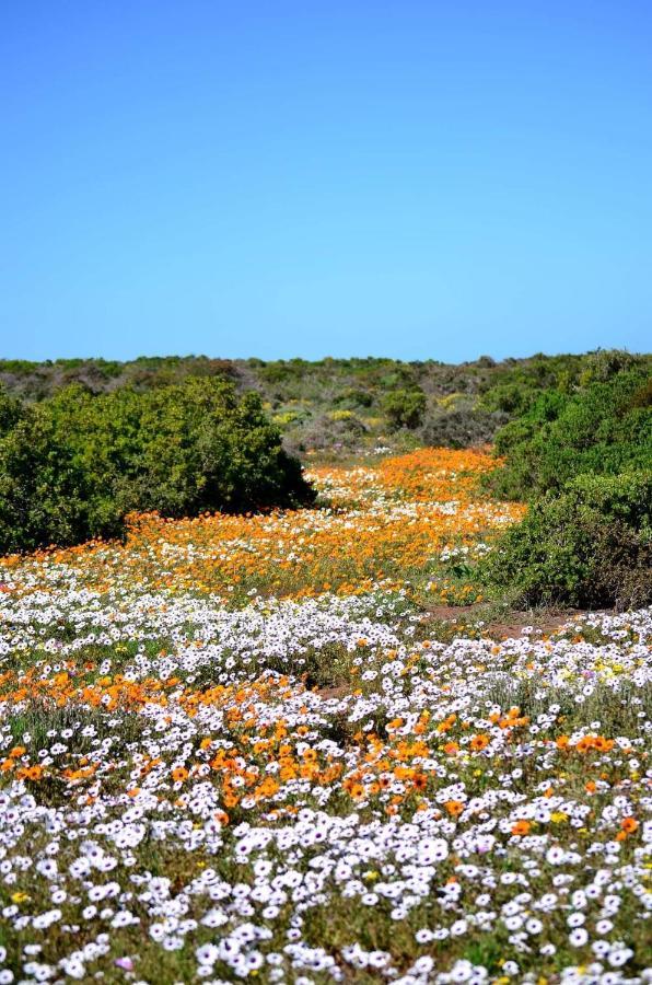 דירות ג'ייקובס ביי Cvista מראה חיצוני תמונה